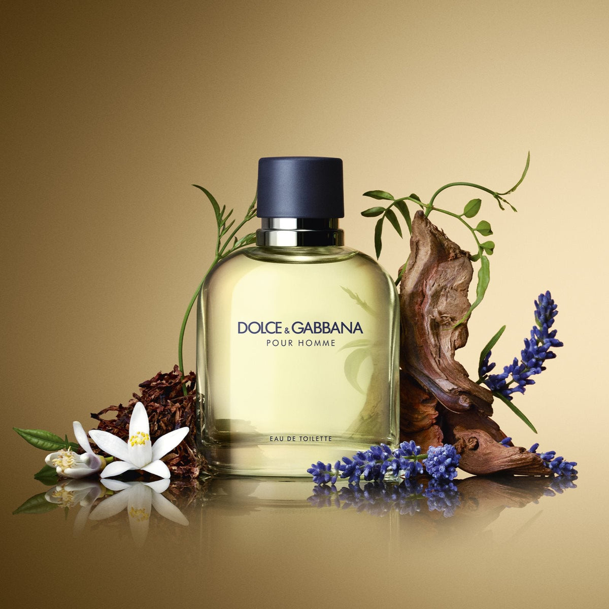 Dolce&Gabbana Pour Homme Eau de Toilette