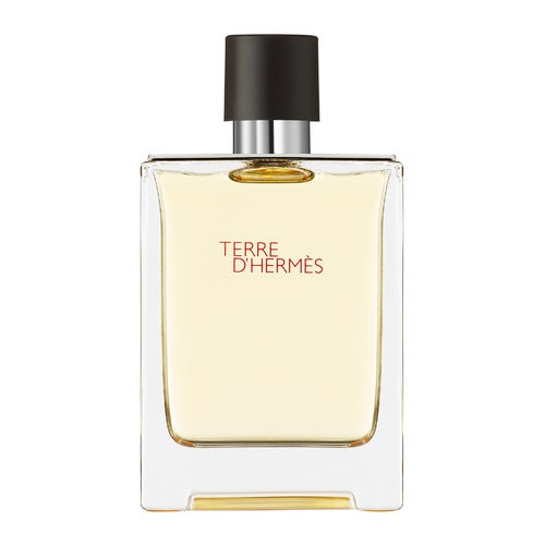 Hermès Terre D'Hermès Eau de Toilette - 100 ml