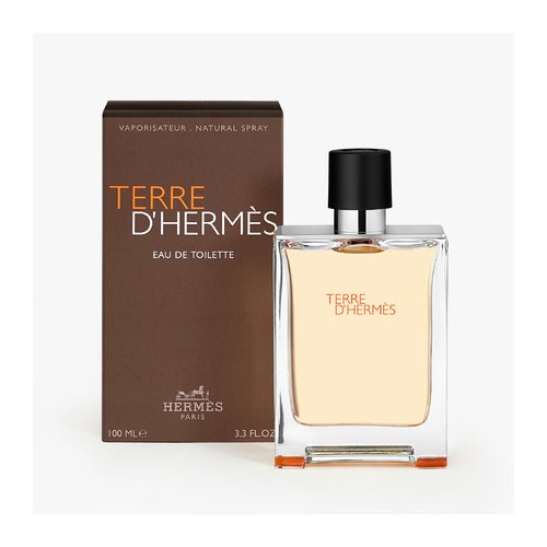 Hermès Terre D'Hermès Eau de Toilette - 100 ml