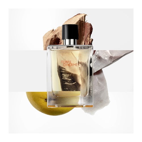 Hermès Terre D'Hermès Eau de Toilette - 100 ml