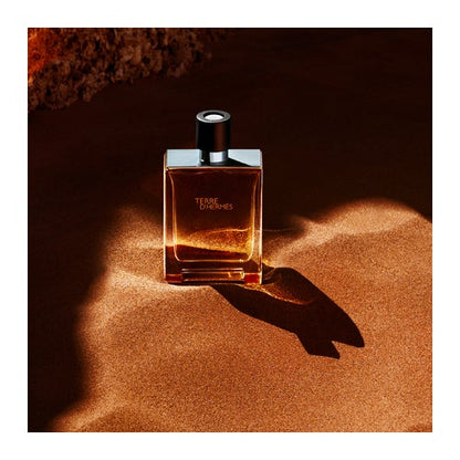 Hermès Terre D'Hermès Eau de Toilette - 100 ml
