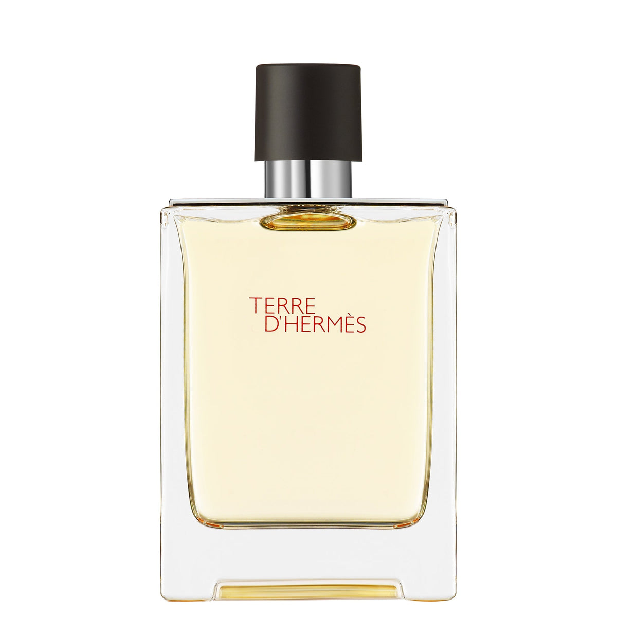 Hermès Terre d'Hermès Eau de Toilette