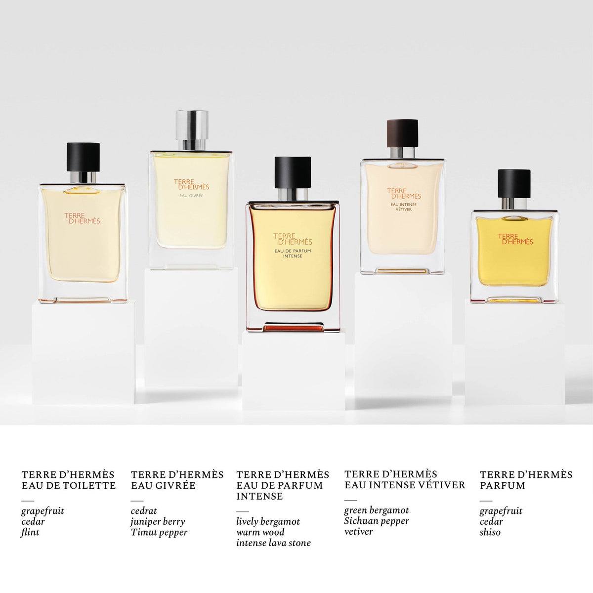 Hermès Terre d'Hermès Eau de Toilette