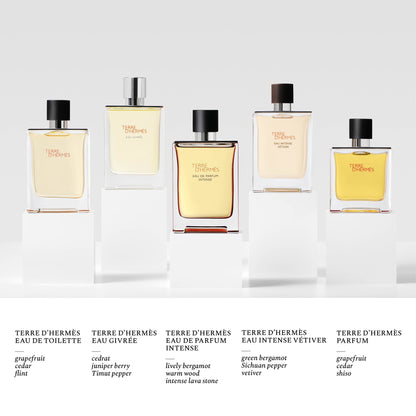 Hermès Terre d'Hermès Eau de Toilette