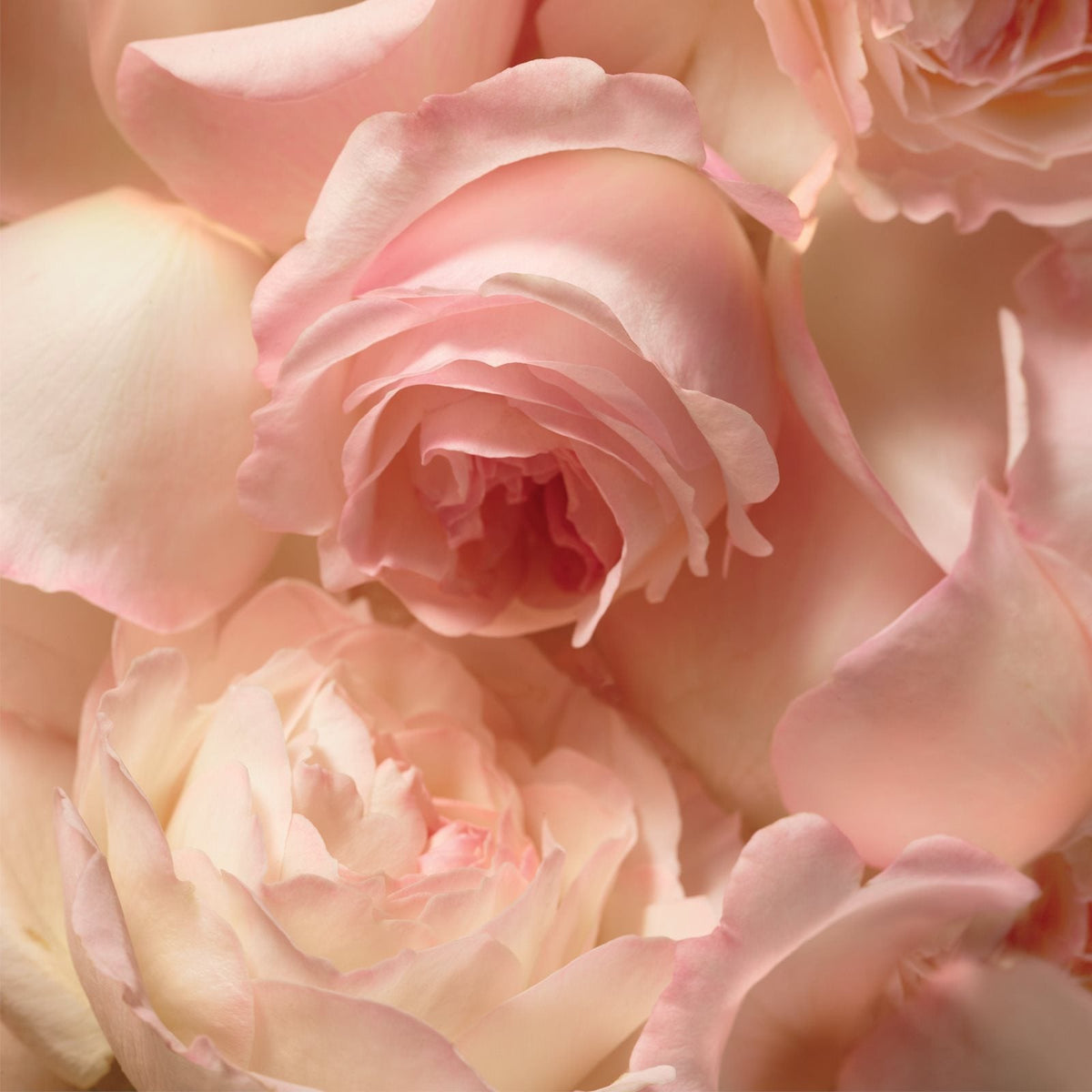 Ralph Lauren Romance Eau de Parfum